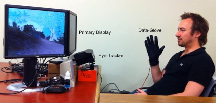 Labeled photo of the system: display, eye tracker, and data glove